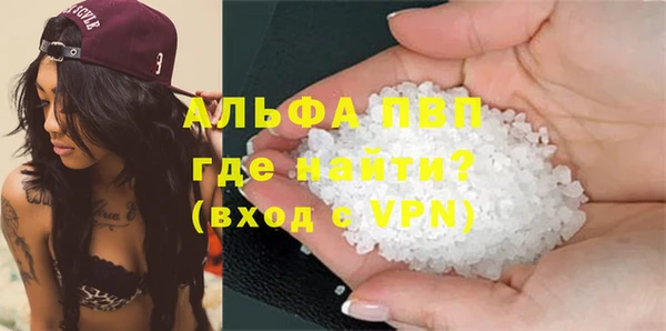 эйфоретик Бородино