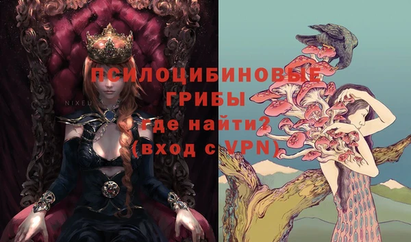 дурь Бугульма