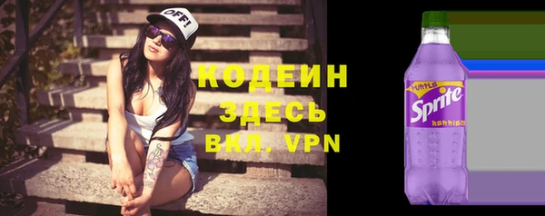 эйфоретик Бородино