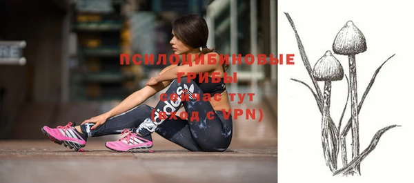 дурь Бугульма