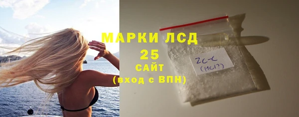 эйфоретик Бородино