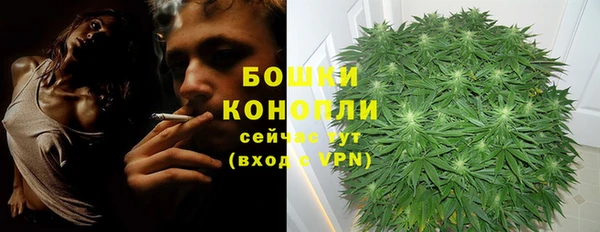 дурь Бугульма