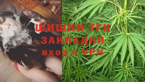 эйфоретик Бородино