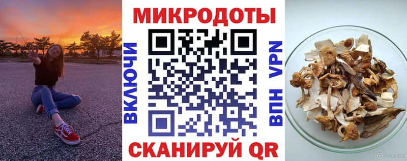 Галлюциногенные грибы Psilocybe  где продают наркотики  блэк спрут ссылка  Ессентукская 